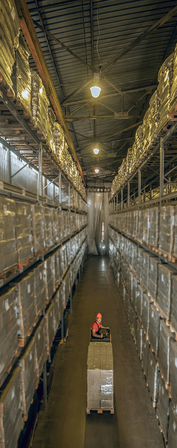 Warehouse / Distribution