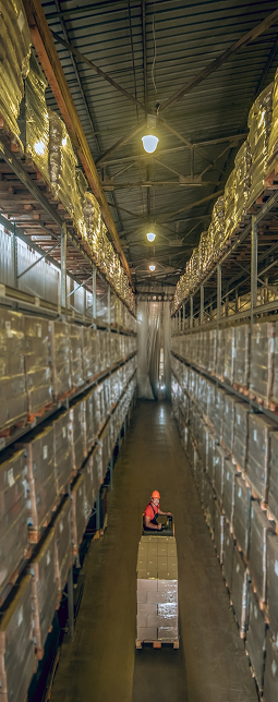 Warehouse / Distribution